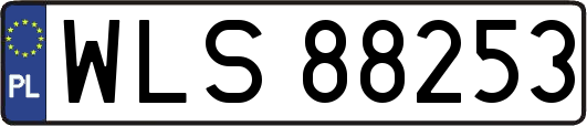WLS88253