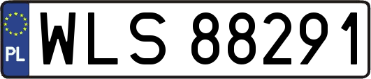 WLS88291
