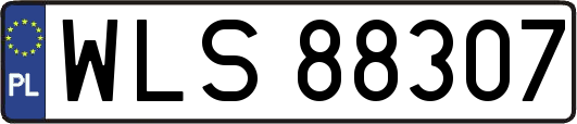WLS88307