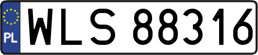WLS88316