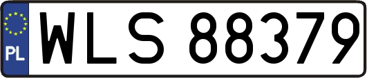 WLS88379