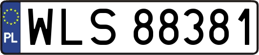 WLS88381
