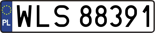 WLS88391