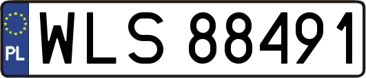 WLS88491