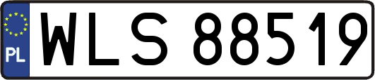 WLS88519