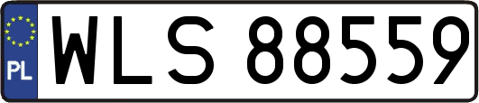 WLS88559