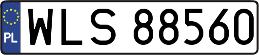WLS88560