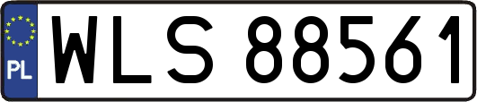 WLS88561