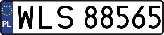 WLS88565