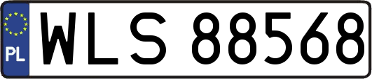 WLS88568