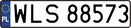 WLS88573