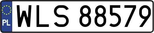 WLS88579
