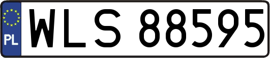 WLS88595