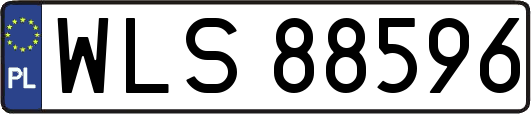 WLS88596