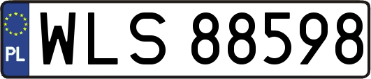 WLS88598