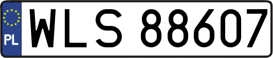 WLS88607