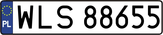 WLS88655