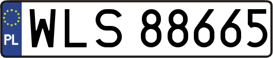WLS88665