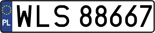 WLS88667