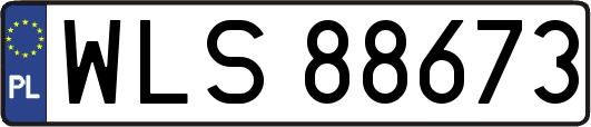 WLS88673