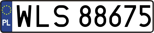 WLS88675