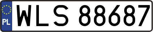 WLS88687