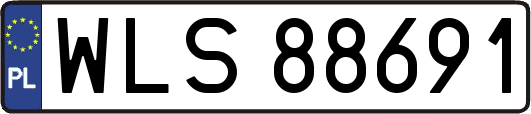 WLS88691