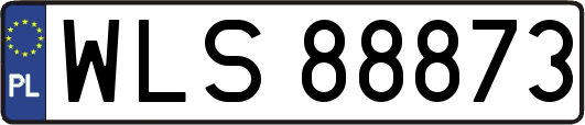 WLS88873