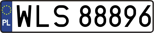 WLS88896
