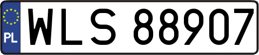 WLS88907