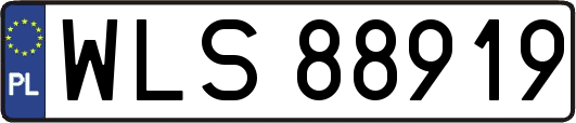 WLS88919