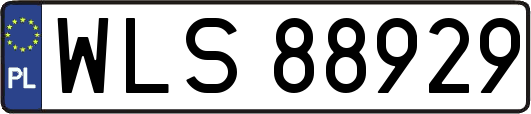 WLS88929