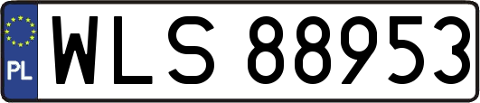 WLS88953