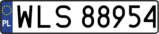 WLS88954