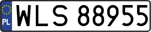 WLS88955