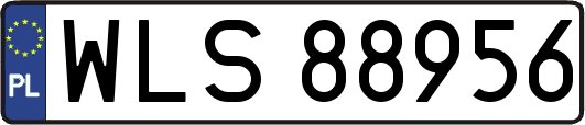 WLS88956