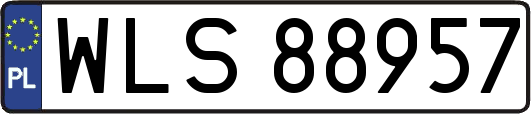 WLS88957