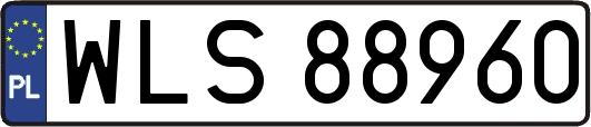 WLS88960