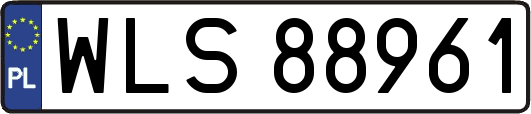WLS88961