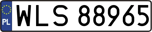 WLS88965