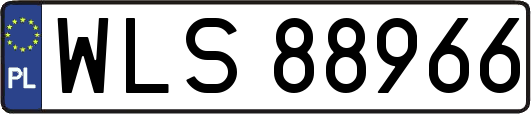 WLS88966