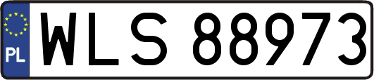 WLS88973