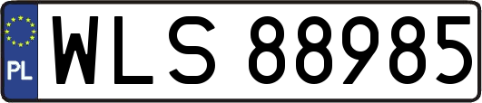 WLS88985