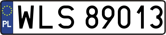 WLS89013