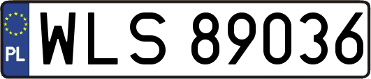 WLS89036
