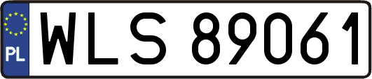 WLS89061