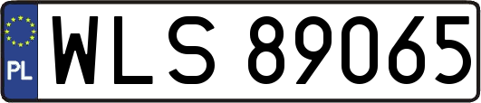 WLS89065