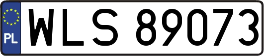 WLS89073