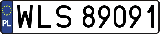 WLS89091