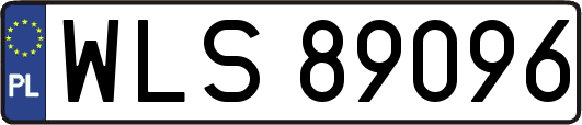 WLS89096